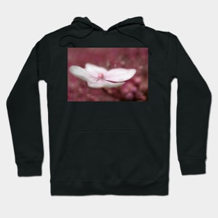 I almost wish we were butterflies... Hoodie